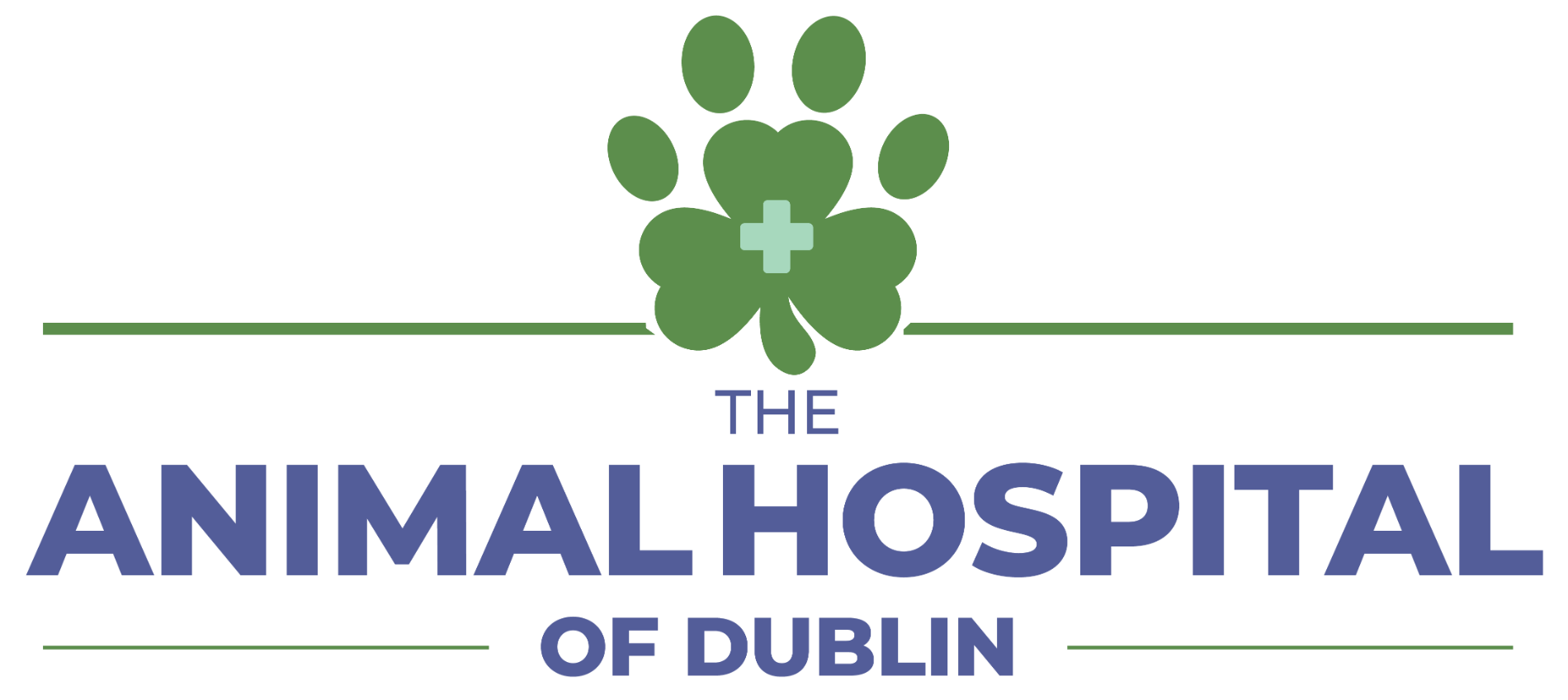 Best Vet Hospital In Dublin | The Animal Hospital Of Dublin