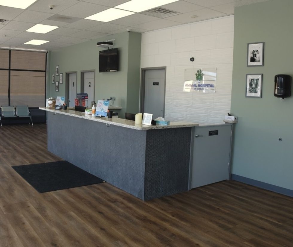 New Client Form The Animal Hospital Of Dublin