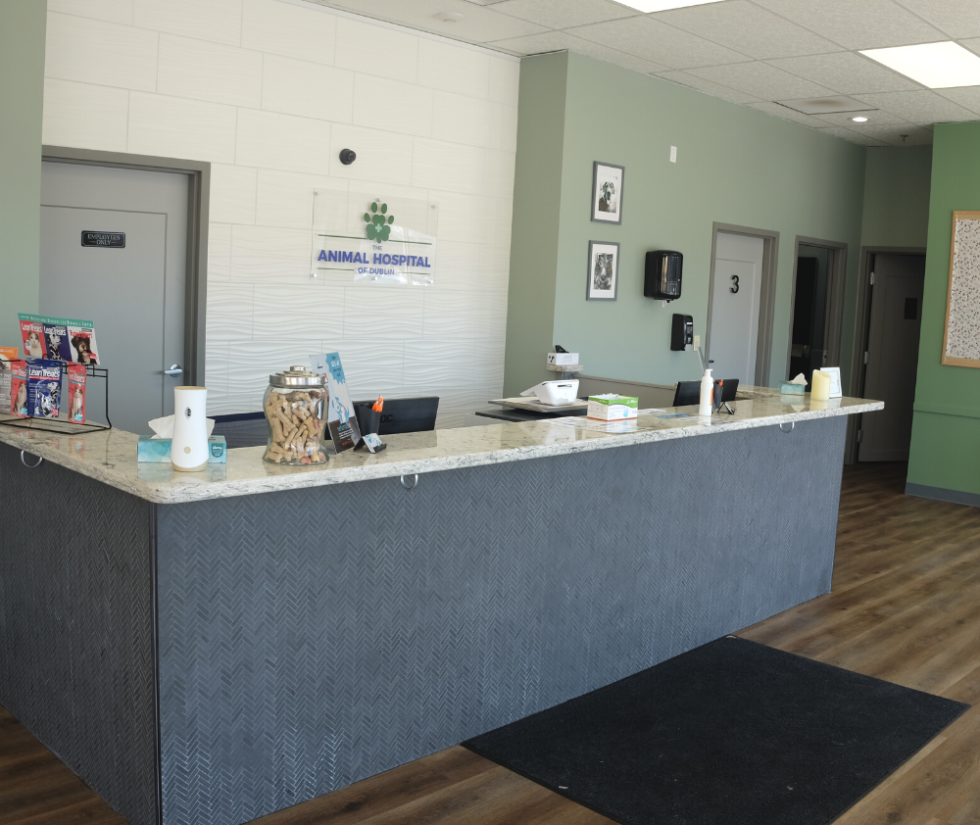 Best Vet Hospital In Dublin The Animal Hospital Of Dublin