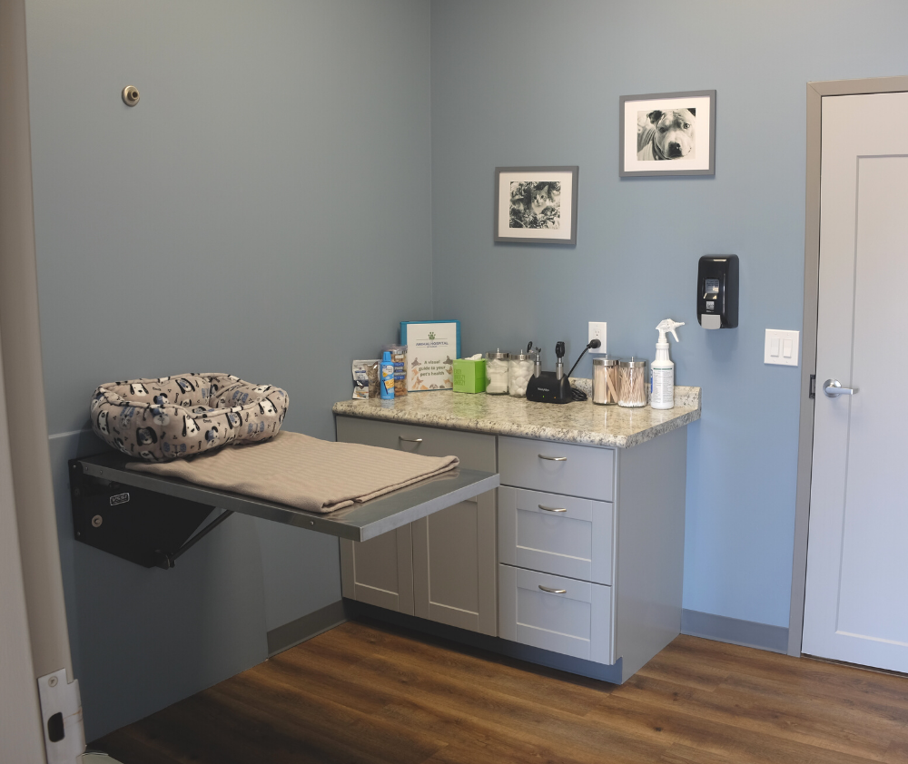 Vet Near Me Dublin, OH 43016 The Animal Hospital Of Dublin